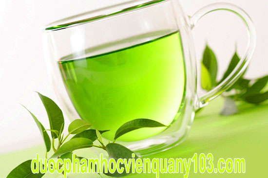 Thành phần chè xanh trong kem Sâm Ngọc Linh Skginseng