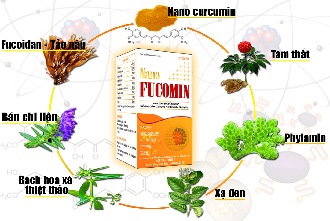 Các thành phần trong Nano Fucomin Học Viện Quân Y