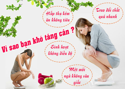 Tại sao bạn ăn nhiều nhưng vẫn không tăng cân