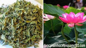 giảm mỡ bụng bằng lá sen khôn