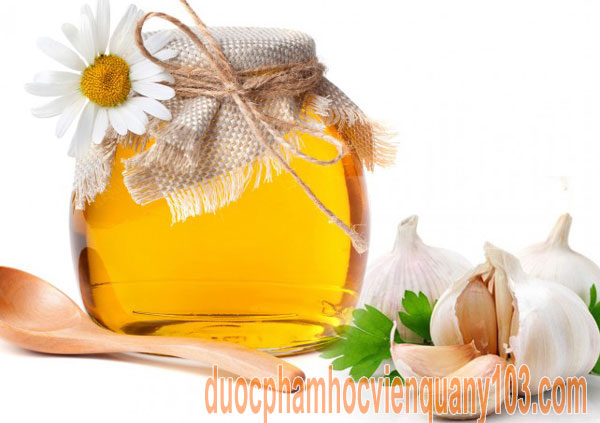 Tổi ngâm với mật ong bài thuốc quý rất tốt cho sức khỏe