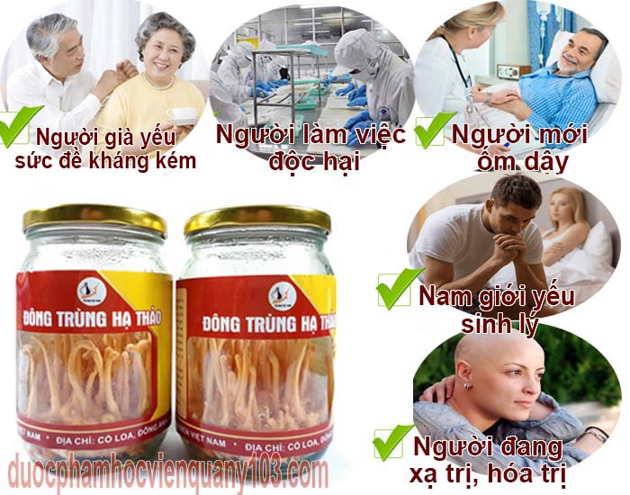 Những đối tượng thích hợp sử dụng đông trùng hạ thảo Việt Nam