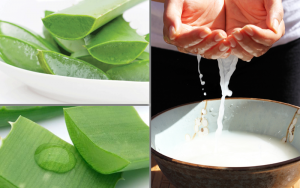 Cách làm mặt nạ nha đam với nước vo gạo