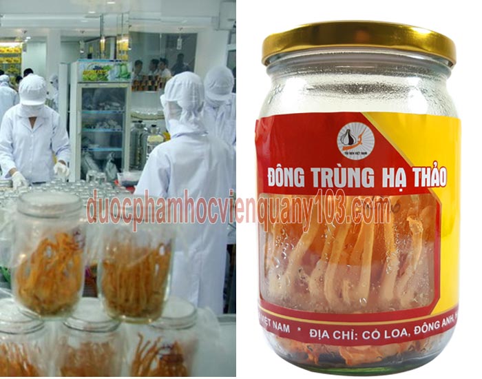 Quy trình nuôi cấy đỗng trùng hạ thảo Việt Nam đáp ứng đầy đủ các tiêu chuẩn nghiêm ngặt của Bộ Y Tế