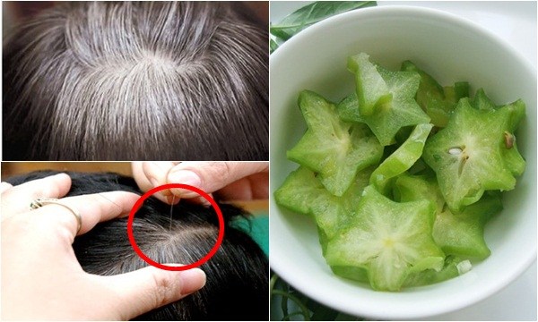Bài thuốc chữa tóc bạc sớm từ quả khế chua
