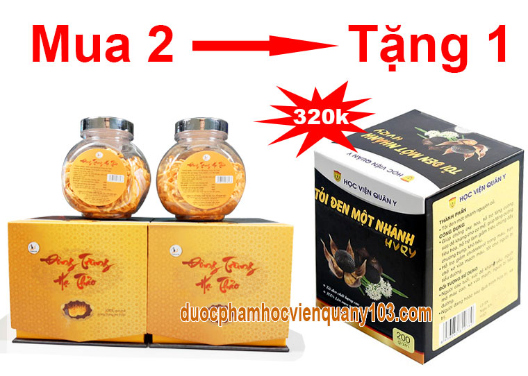 Khuyến mãi chưa từng có khi mua 2 hộp đông trùng hạ thảo khô Việt Nam 10gr