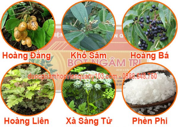 Bột Ngâm Trĩ Viện Y Học Cổ Truyền thành phần