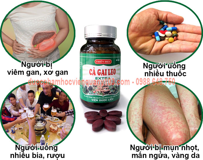 cà gai leo extra đối tượng sử dụng