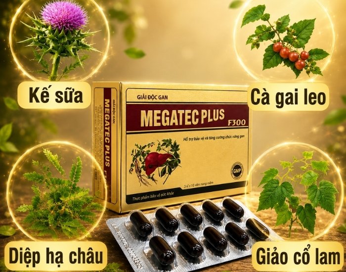 Cac Thanh Phan Thao Duoc Chinh Trong Giai Doc Gan Megatec Plus F300