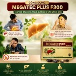 Những đối tượng thích hợp sử dụng giải độc gan megatec plus f300