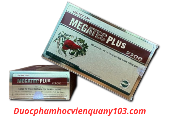 Bo Gan Megatec Plus Duoc Thanh Hang