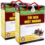 Toi Den Mot Nhanh Viet Nam 2 Hop