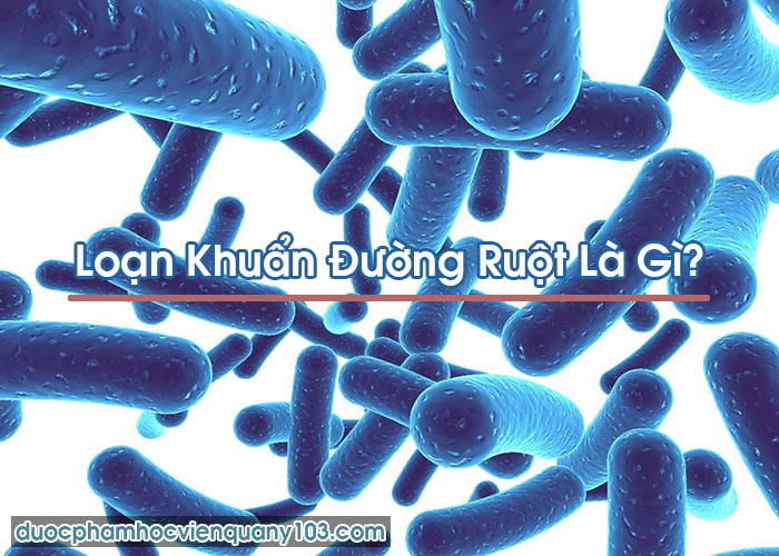 Loạn Khuẩn Đường Ruột Là Gì