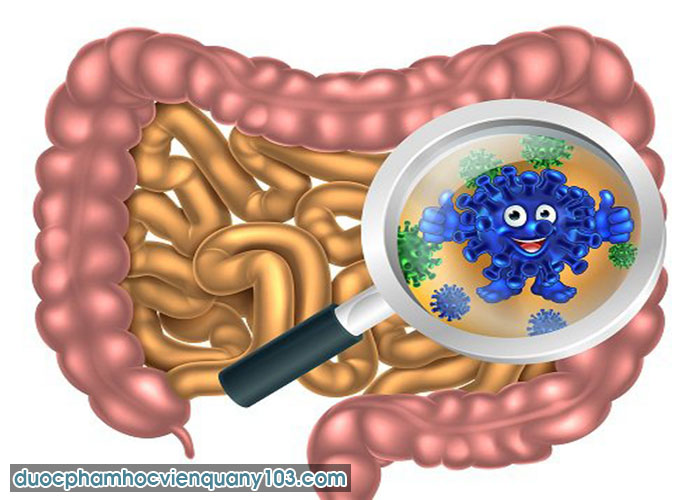 Nguyên Nhân Chính Gây Ra Loạn Khuẩn Đường Ruột