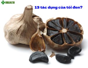13 Tac Dung Cua Toi Den