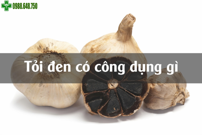 Cong Dung Cua Toi Den