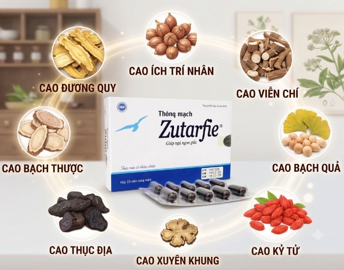 Các Thành Phần Thảo Dược Chính Trong Thông Mạch Zutarfie